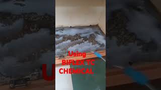 K 7 PEST CONTROL CHEMICAL BIFLEX TC 9042374080 CALL ME ANY DOUBTS OR SERVICE [upl. by Derian]