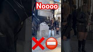 The tourist is bitten by the royal horse shorts foryou history royalguards tiktok viralvideo [upl. by Nehtiek679]