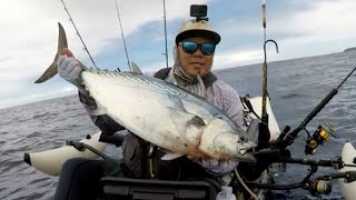 KAWAKAWA  KAHALA  KAKU  Kayak Fishing Hawaii  Live Baiting amp Jigging [upl. by Armahs]