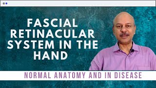 The fascial retinacular system in the hand  Normal anatomy and what happens in disease [upl. by Aietal42]