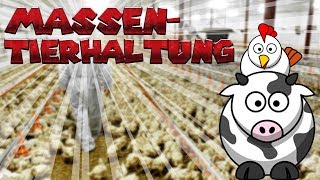 Von dort kommt unser Fleisch  MASSENTIERHALTUNG Bitte Beschreibung Lesen [upl. by Heigl]