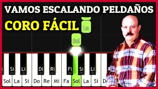 VAMOS ESCALANDO PELDAÑOS Piano Tutorial Fácil  Stanislao Marino  ACORDES de CORITOS CRISTIANOS [upl. by Nonah]