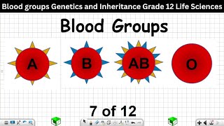 Blood groups Genetics and Inheritance Grade 12 Life Sciences 7 of 12 [upl. by Zima]