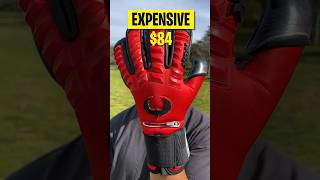 Testing Cheap vs Expensive Goalie Gloves [upl. by Sammie]