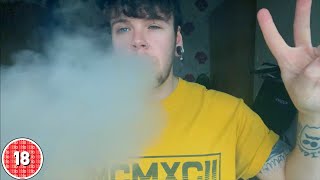 Elux Legend Disposable Vape Jungle Juice Flavour Review [upl. by Pilihp]