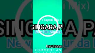 Singara PakoriHo Munda Dj SongJamuda Remix [upl. by Lahpos509]