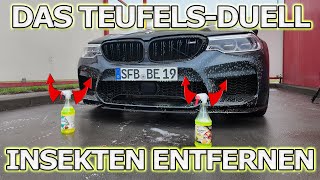 Das Duell der Teufel Insektenteufel vs Teufelsreiniger  die letzten Insekten entfernen von 2024 [upl. by Ragucci]