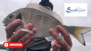 Sea fishing UK  Gilthead bream fishing  Bass fishing  Salcombe estuary [upl. by Lindeberg]