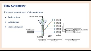 Flow Cytometry 101  Basic Principles amp Data Analysis [upl. by Benoite]