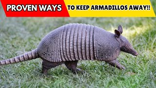 How to Keep Armadillos Away From Your Property [upl. by Ginelle]