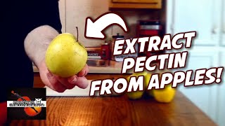 Extract Your Own PECTIN From APPLES Homemade Pectin Recipe  Kitchen Instruments [upl. by Ruben]