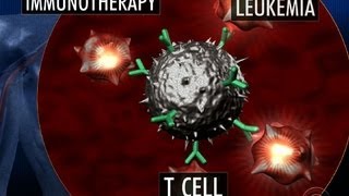 New cancer treatment uses patients cells to attack disease [upl. by Udall]