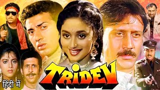 Tridev Full Movie  Sunny Deol  Naseeruddin Shah  Jackie Shroff  Sonam Rai  Review amp Facts [upl. by Aglo]