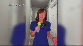 Former News Anchor Reports on Toddlers Tantrum [upl. by Francie]