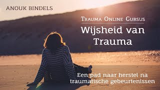 Wijsheid van Trauma Een pad naar herstel na traumatische gebeurtenissen  Anouk Bindels [upl. by Esch]