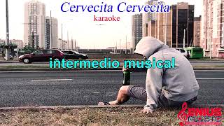 CERVECITA CERVECITA KARAOKE REQUINTO [upl. by Ahsehat38]