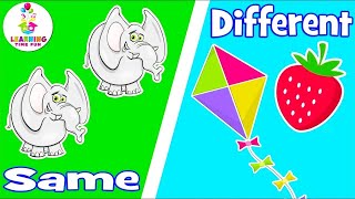 SAME and DIFFERENT for Kids Compare and Contrast OPPOSITE Words  Toddler Learning Videos [upl. by Filmer406]