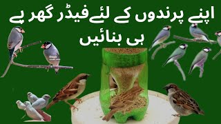 How to make birds a feeder at home plastic bottle [upl. by Chaffin]