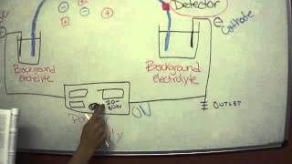 Capillary Electrophoresis [upl. by Ailemor]