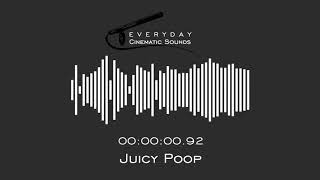 Juicy Poop  HQ Sound Effect [upl. by Acinhoj]