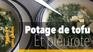 Potage de tofu et de champignon pleurote  Potage asiatique parfumé aux champignons et coriandre [upl. by Marielle859]