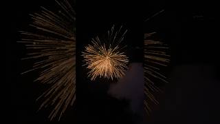 AMAZING FIREWORKS IN DIWALI 🎇🪔trending viralvideo fireworks [upl. by Aharon]