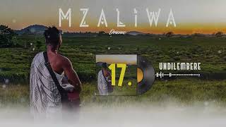 DRIEMO  UNDILEMBERE Official audio visualizerMzaliwa malawi afrobeat [upl. by Nicholas]