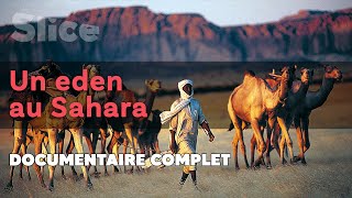 Un Eden au Sahara  SLICE  DOC COMPLET [upl. by Fidole]