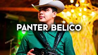 Panter Belico Mix Corridos 2024 [upl. by Arnelle]