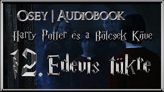 Harry Potter és a Bölcsek Köve hangoskönyv  12 fejezet [upl. by Nadia]