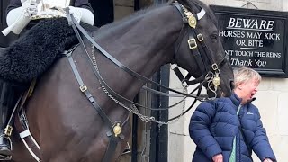 Wild Encounter Tourist Gets Bitten by Royal Horse [upl. by Lananna]