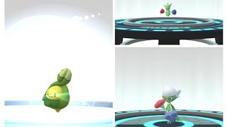 Beautiful Full Evolution 🧬 BUDEW 🧬 ROSELIA 🧬 ROSERASDE 🧬 Pokemon Go [upl. by Acenom]