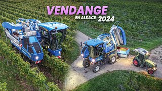 🍇 Vendange 2024 en Alsace 🥨🤩  New Holland amp Fendt  Domaine Hartweg [upl. by Beshore327]