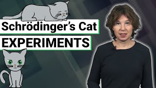 Understanding Quantum Mechanics Schrödingers Cat Experiments [upl. by Ydnahs]