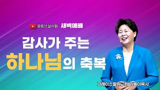 감사가 주는 하나님의 축복 20241113수 새벽6시예배 새벽예배 그레이스힐링교회 김록이목사 100일작정기도유튜브실사원 [upl. by Ahsahs10]