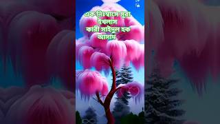 এক নিঃশ্বাসে সূরা ইখলাস কারী সাইদুল ইসলাম আসাদ youtubeshorts Islamic shorts [upl. by Adnael207]