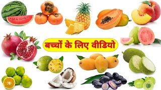 50 फलों के नाम  fruits name in english  fruits name for kids  fruits name in hindi [upl. by Thurstan]