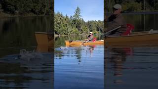 Adirondack Trout Fishing adirondacks [upl. by Otrebor]