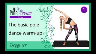 1  Pole dance warm up  Basic pole dance warmup [upl. by Paza]