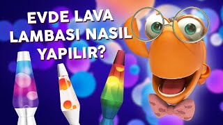 Profesör Balık ile Deneyler Lava Lambası Yapımı [upl. by Clarance]