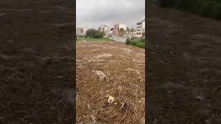 Flash Flood en Paiporta flashflood dana gotafria [upl. by Akehsat]