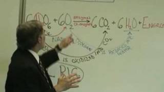 Professor Fink explains CELLULAR RESPIRATION Part 2 ATP Role of O2 [upl. by Sheldon77]