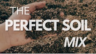 HowTo Perfect Soil Mix In Just 5 Steps [upl. by Kassie]