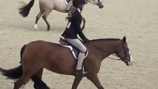 Pony Finals 2016 Lauren and Glitter [upl. by Torto]