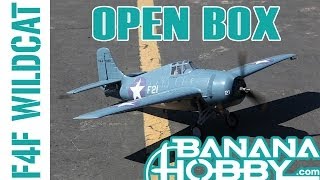 F4F Wildcat BlitzRCWorks  Open Box Review  Warbird amp Military [upl. by Snapp]