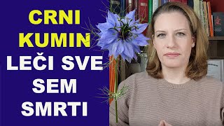 CRNI KUMIN  quotleči sve sem smrtiquotdr Bojana Mandić [upl. by Eivod813]