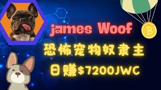 James Woof恐怖宠物奴隶主日赚7200jwc [upl. by Eniledgam418]