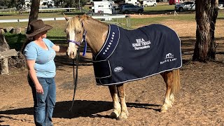 REA Narrandera Horse Trials including our AnEventfulLifeXCVideo [upl. by Ahseer73]