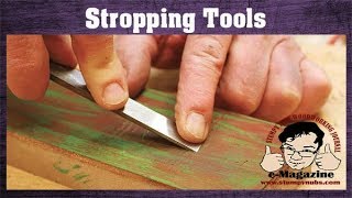 The stropping myth and how to sharpen tools with leather [upl. by Raseac]