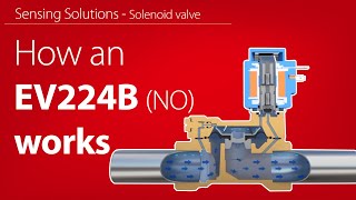 How an EV224B NO solenoid valve for highpressure air works  Working animation [upl. by Laurentium]